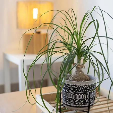 بيت للعطل Maison De Line L'Ile-d'Olonne