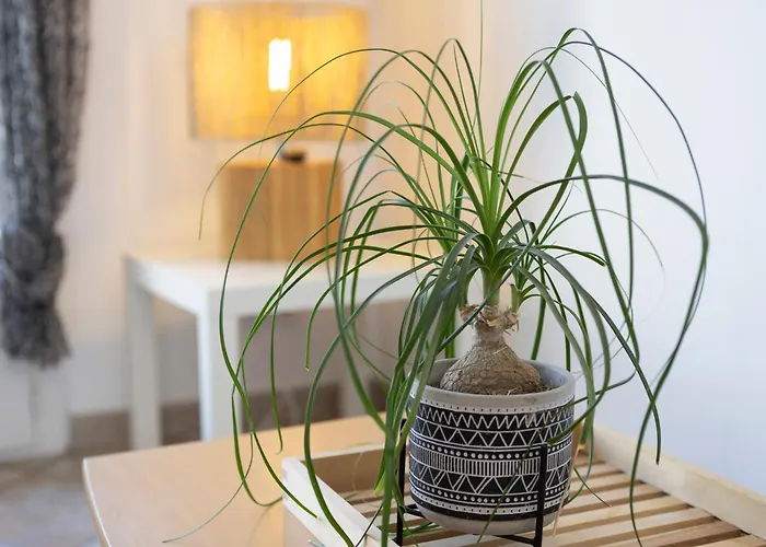 بيت للعطل Maison De Line L'Ile-d'Olonne